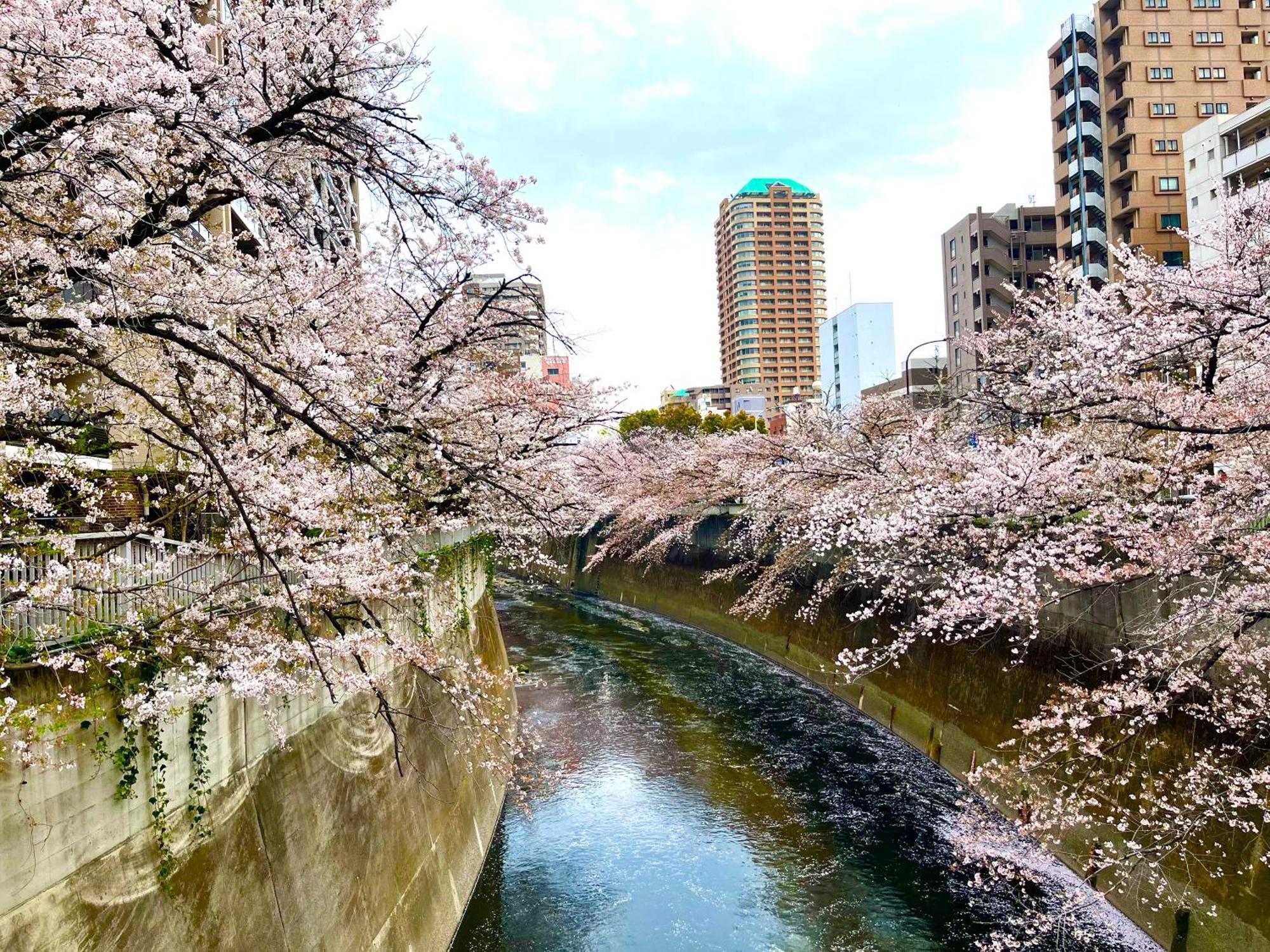 도쿄 Nearest Sta 4Mins!Nr Ikebukuro,Shinjuku,Shibuya! 아파트 외부 사진